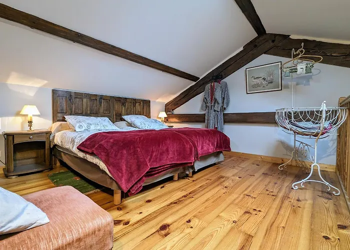 Ferme Avec Piscine Couverte Sur Grand Domaine - Fr-1-582-515 3* Saint-Romain-Lachalm